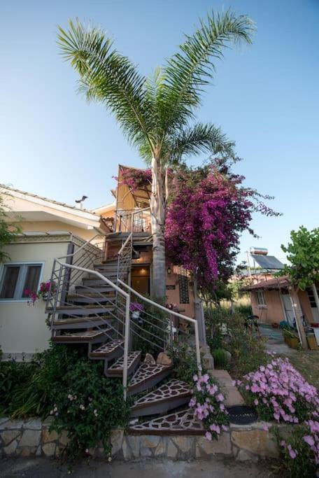 Bougainvillea House 1 กาลามาตา ภายนอก รูปภาพ